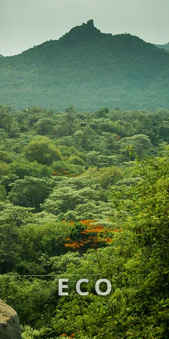 ECO