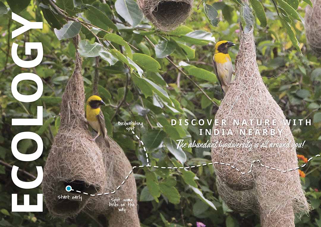Go Explore Theme ECOLOGY 1 Go Explore Theme ECOLOGY 1