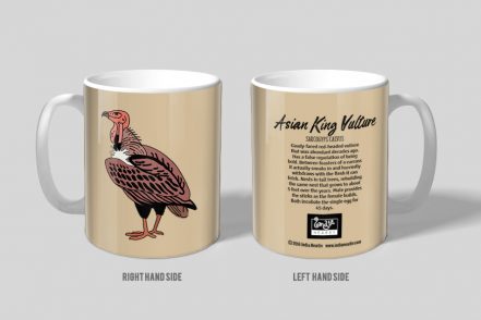 Asian King Vulture