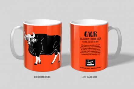Gaur