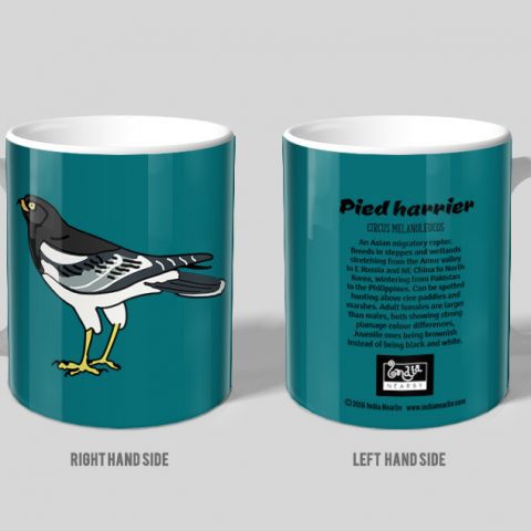 Pied Harrier D1 Single Mug