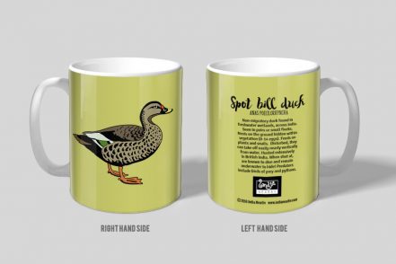 Spot Bill Duck