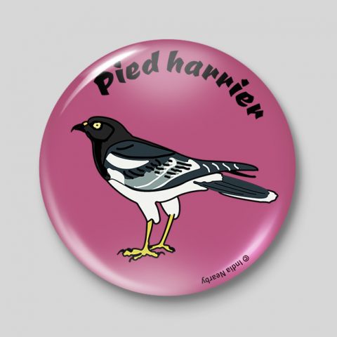 Pied Harrier D2 Badge